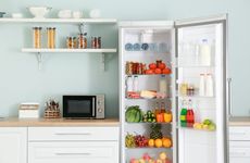 Aesthetic Interior Fridge Trends