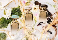 Tribute Designer Fragrances Image 1