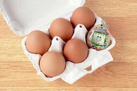 Eggshell-Made Digital Pets Image 1