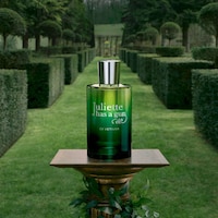 Triple-Vetiver Fragrances Image 2
