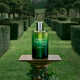 Triple-Vetiver Fragrances Image 2