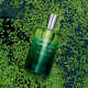 Triple-Vetiver Fragrances Image 3