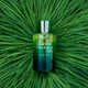 Triple-Vetiver Fragrances Image 4