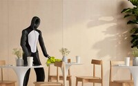 Humanoid Household Robots Image 2