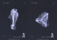 QSR X-Ray Campaigns Image 1