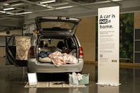 Domestic Awareness Campaigns Image 1