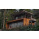 Mud-Plastered Interior Earthy Homes Image 1