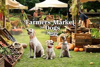 Dog-Friendly Farmers Markets Image 1