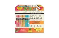 Hard Kombucha Variety Packs