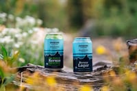 Regenerative Grain Lagers Image 1
