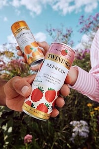 Sparkling Tea-Based Refreshments Image 1