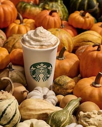 Fall-Exclusive Canadian Promotions Image 2