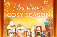 Autumnal Cleaning Product Campaigns