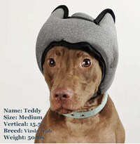 Noise-Canceling Pet Headphones Image 2