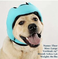 Noise-Canceling Pet Headphones Image 4