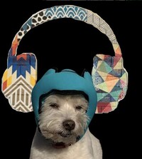 Noise-Canceling Pet Headphones Image 5