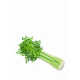 Chic Celery-Shaped Clutches Image 1