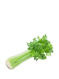 Chic Celery-Shaped Clutches Image 2