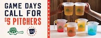 Personal-Sized Beer Pitchers Image 4
