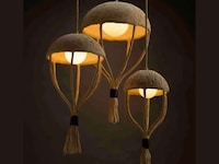 Plant Pod-Inspired Pendant Lights Image 1