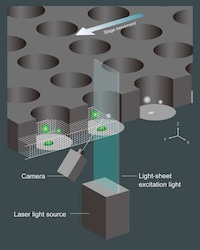 Rapid Cell Analyzers Image 2