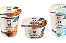 Collaborative High-Protein Dairy Products