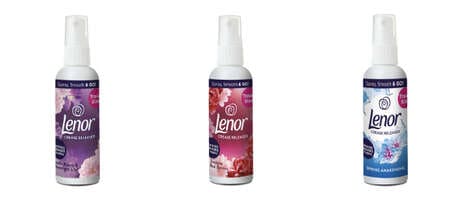 Travel-Friendly Garment Care Products