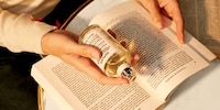 Indulgent Luxury Fragrances Image 2