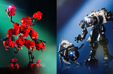 Transformative Floral Puzzle Characters