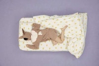 Cozy Anime-Inspired Sleepwear Lines Image 2