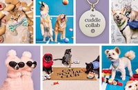 Exclusive Pet-Themed Collections Image 1