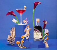 Fruity Mushroom-Infused Cordials Image 1