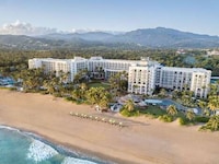 Transformed Rainforest Beach Resorts Image 1