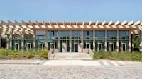 Woodland-Inspired Timber Office Spaces Image 3