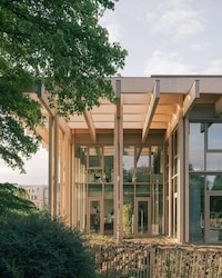 Woodland-Inspired Timber Office Spaces Image 4