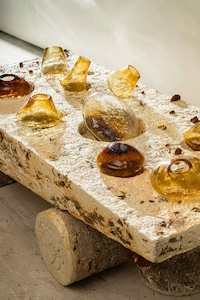 Mycelium-Based Artful Tables Image 3