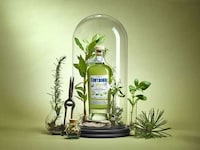 Aromatic Botanical Liqueurs Image 1