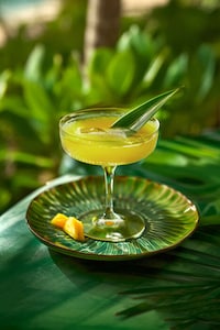 Aromatic Botanical Liqueurs Image 4