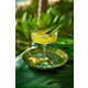 Aromatic Botanical Liqueurs Image 4