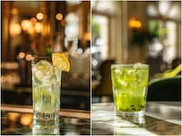 Aromatic Botanical Liqueurs Image 5