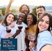 Diverse Wine Festivals Image 1