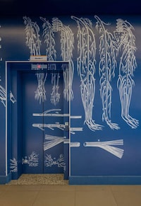 Colorfully Designed Medical Schools Image 3