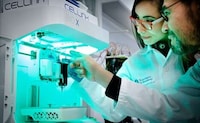 Plant-Based 3D-Printed Meat Image 2