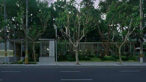 Glass-Walled Shanghai Cafes