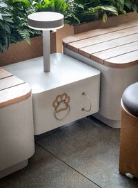 Green China-Based Coffee Chains Image 2