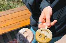 Mushroom-Infused Popsicles