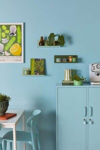 Mounted Colorful Shelving Units Image 2