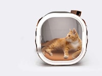 Sustainable Portable Cat Shelters Image 1