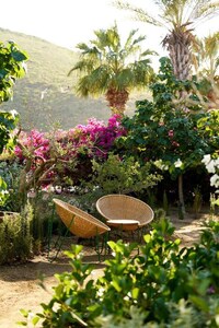 Enchanting Beachside Stays Image 2