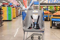 Inclusive Shopping Carts Image 2